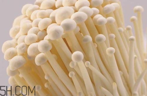金針菇的食用禁忌有哪些？金針菇四大禁忌