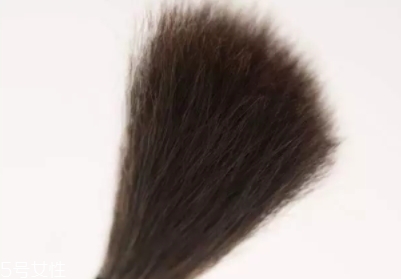 高光刷哪個牌子好？好用到哭的高光刷