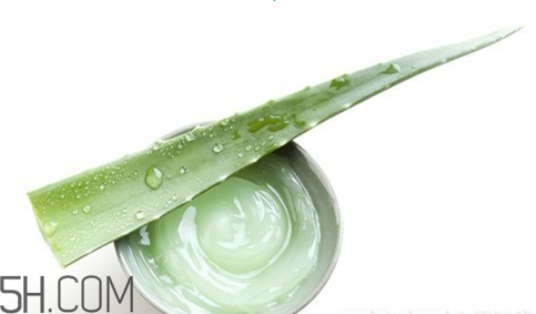 蘆薈膠吃了會怎樣？蘆薈膠的吃法