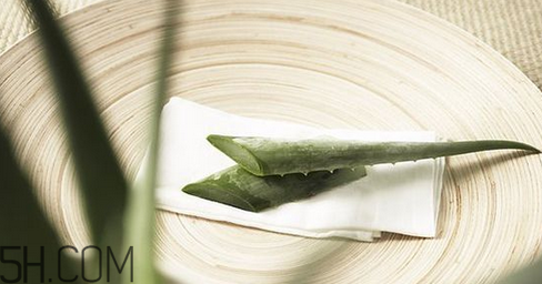蘆薈膠吃了會怎樣？蘆薈膠的吃法
