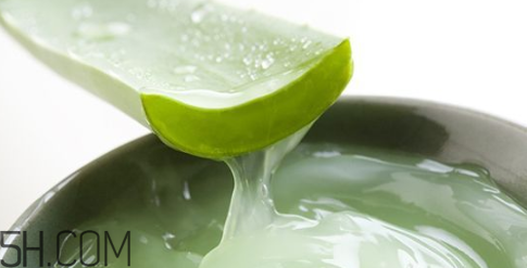 蘆薈膠吃了會怎樣？蘆薈膠的吃法