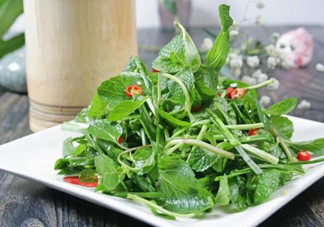 哪些中草藥可以當(dāng)菜吃？最常見(jiàn)的是這三種