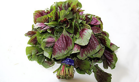 吃莧菜可以減肥嗎？減肥食物熱量排行榜