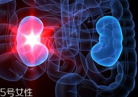 腎病為什么會發(fā)展到尿毒癥？這些因素一定要注意