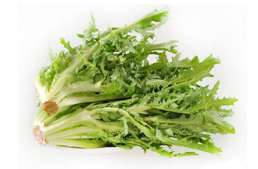 苦菊小孩能吃嗎？小孩吃苦菊促進(jìn)腦部發(fā)育