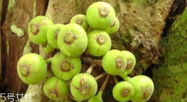 牛奶果皮能吃嗎？