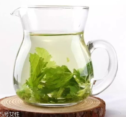 桑葉茶哪些人不能喝？過(guò)多飲用傷脾胃?jìng)I
