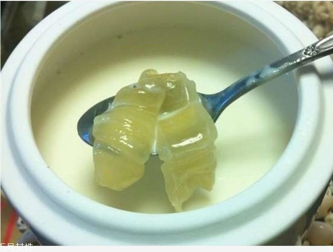 花膠燉牛奶的功效與作用？保養(yǎng)皮膚效果好