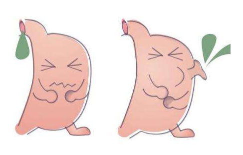 嘔酸水怎么辦？多補(bǔ)充堿性食物
