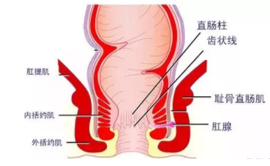 肛瘺非手術(shù)治療才可以嗎？手術(shù)是治療的關(guān)鍵途徑
