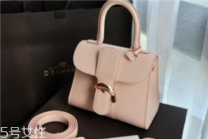 delvaux是哪個(gè)國(guó)家的？皇家專寵奢侈品牌