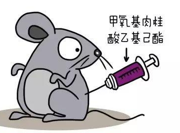 自然堂隔離霜孕婦可以用嗎？含有孕婦禁用成分