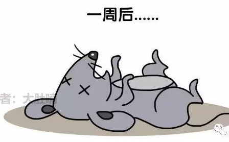 自然堂隔離霜孕婦可以用嗎？含有孕婦禁用成分