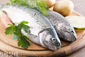 冬天吃魚有何禁忌？四大禁忌需注意