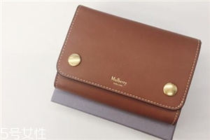 mulberry錢包多少錢？celine平價(jià)替代