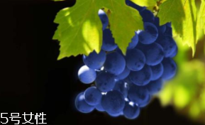 葡萄籽補劑要不要買？不如早睡早起