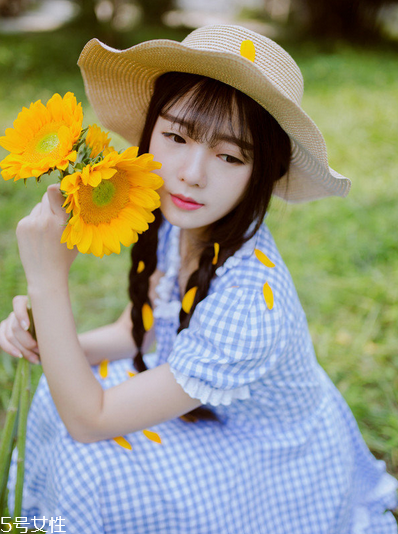 紅花逍遙片多少錢一盒？紅花逍遙片物廉價美