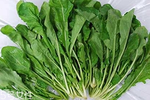 薺菜包餃子需要焯水嗎？小心有苦澀的味道