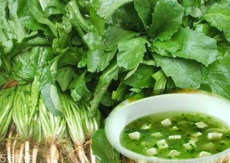 薺菜包餃子需要焯水嗎？小心有苦澀的味道