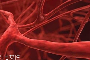 血管塞有什么征兆？這4個現(xiàn)象要警惕
