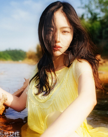 紅花逍遙片成分是什么？中草藥成分安全無害