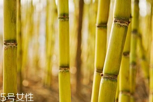 吃甘蔗臉會變大嗎？原來還有這么一說