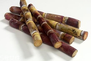 甘蔗熬水可以止咳嗎？來看看做法
