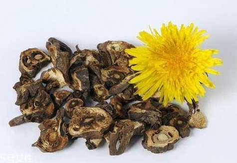 蒲公英茶超市有賣的嗎？去藥房看看