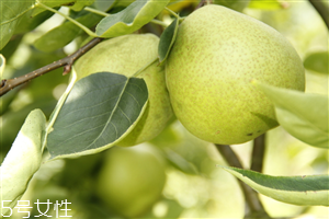 梨子煮熟吃有什么好處？熟梨的常見(jiàn)吃法