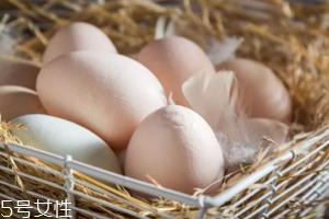 土雞蛋才是更好的蛋嗎？價高不一定好