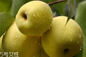 晚上吃梨子會胖嗎？梨不能和開水一起吃