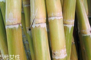 甘蔗吃多了對(duì)牙齒好嗎？有可能損傷牙齒