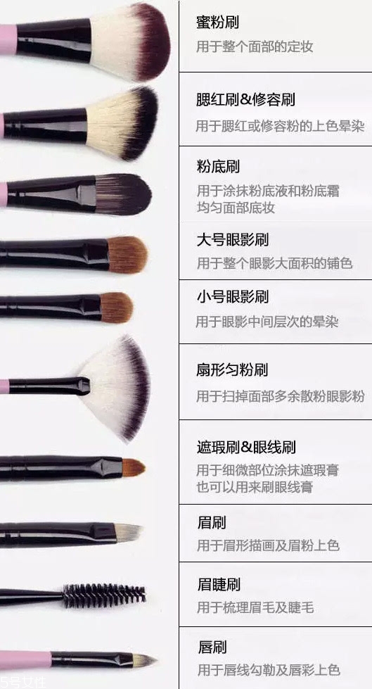 化妝刷有哪些分類和用法？化妝刷的詳細用法