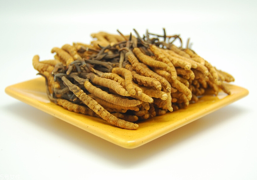 吃冬蟲(chóng)夏草的好處有哪些？四大好處任你選
