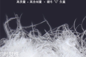 lets diet羽絨褲多少錢？lets diet羽絨褲保暖又修身