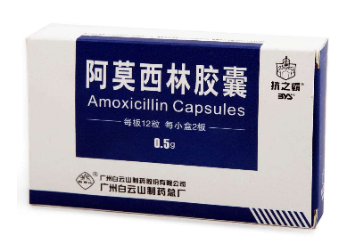 阿莫西林可以和牛奶一起吃嗎？牛奶和阿莫西林不沖突