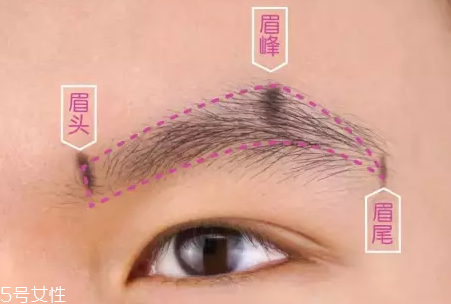 眉型常見失誤有哪些？眉頭壓實很難看