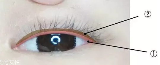 內(nèi)眼線一定要畫嗎？畫好睫毛根部