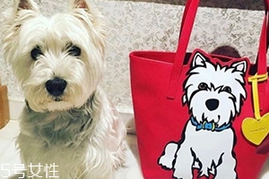marc tetro是什么牌子？美國高性價(jià)比包包品牌