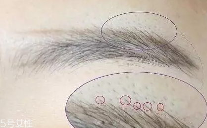 自然不做作的毛流眉怎么畫？紋理清晰有弧度