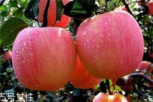 空腹吃蘋果好不好？一天最多吃幾個(gè)蘋果？
