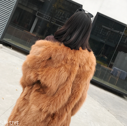 皮草和貂哪個(gè)貴？它們的價(jià)值你清楚嗎