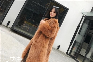 皮草和貂哪個(gè)貴？它們的價(jià)值你清楚嗎