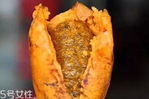 牛卵坨籽可以吃嗎？看看它的神奇功效