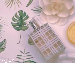 女士香水什么味道好？這6款香水親切又高級(jí)