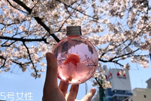 奈良金箔櫻花酒多少錢(qián)？奈良櫻花酒好喝嗎