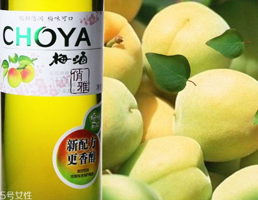 choya梅酒多少錢？多少度？