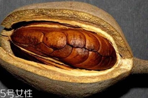 向天果的用量 根據(jù)自身情況選擇服用量。