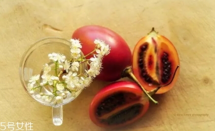 樹番茄孕婦可以吃嗎？這些人要小心食用