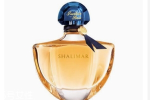 冬天適合用什么香水？這六款香水聞起來暖暖的